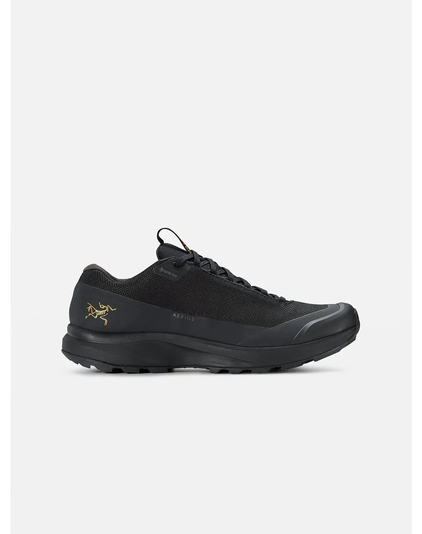 ARC'TERYX Men's Aerios FL 2 Gore-tex® Shoe